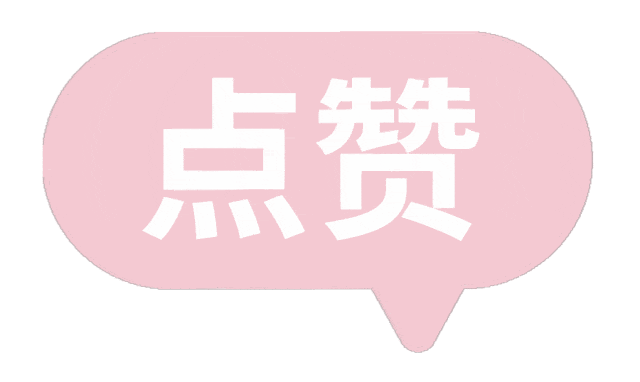 Echo回应应用体验